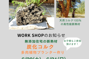 2026年6月多肉植物炭化コルクワークショップ