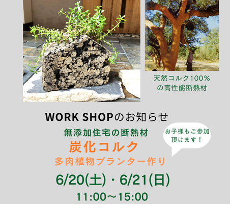 2026年6月多肉植物炭化コルクワークショップ